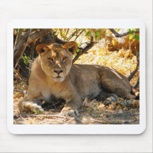 Siesta Time Mouse Pad