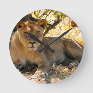 Siesta Time Round Clock