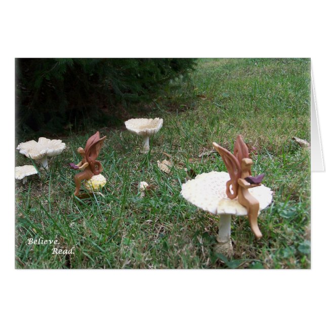 sigh_demidamsels_believe_5213 (Front Horizontal)