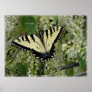 SIGH_ets_loa_P5140161g Poster