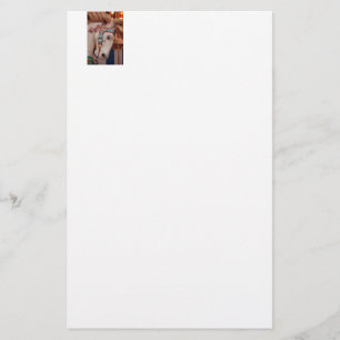 Sights and Sounds of Summer Stationery