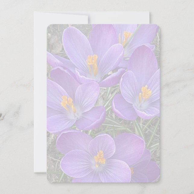 Sign of Spring Card (Front)