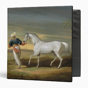 Signal, a grey Arab, with a Groom in the Desert (o Binder