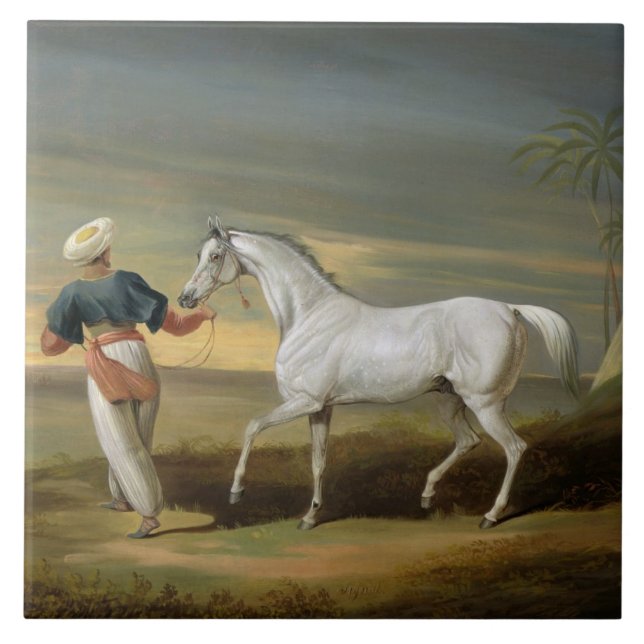 Signal, a grey Arab, with a Groom in the Desert (o Tile (Front)