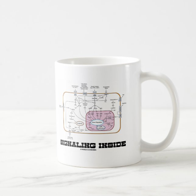 Signalling Inside (Signal Transduction Pathways) Coffee Mug (Right)