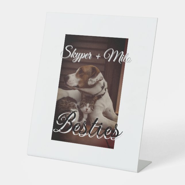 Signe De Table Animaux de compagnie amis besties ajouter nom anim (Recto)