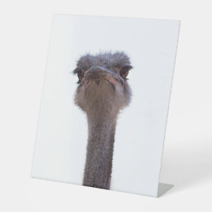 Signe De Table autruche