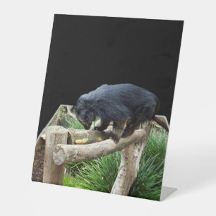 Signe De Table Binturong, (Chat D'Ours)