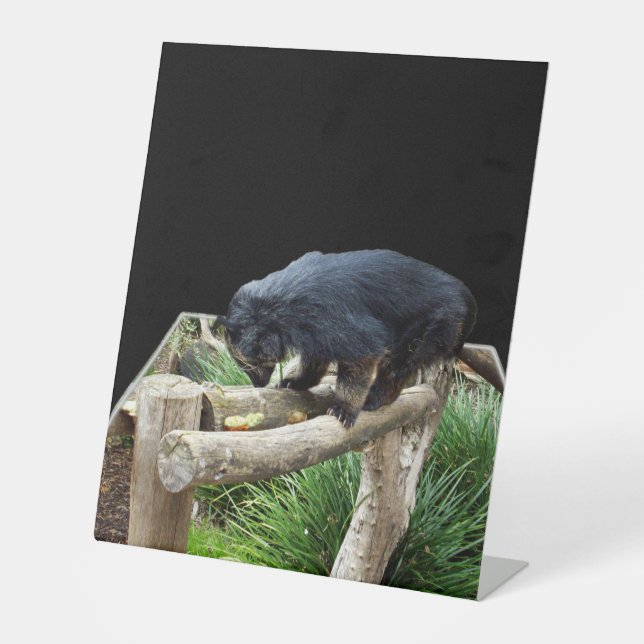 Signe De Table Binturong, (Chat D'Ours) (Recto)