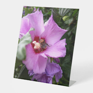 Signe De Table Bumblebebe sur la fleur d'Hibiscus