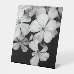 Signe De Table carte postale n&b