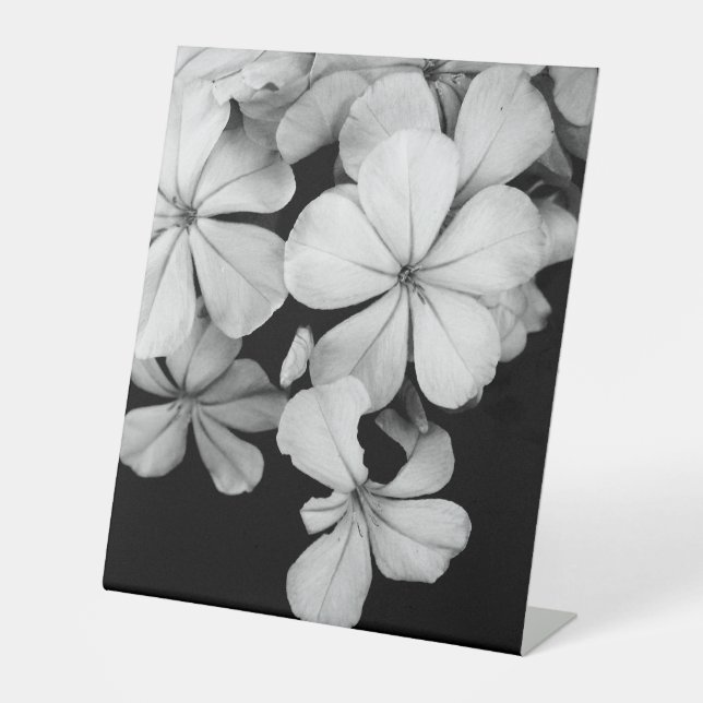 Signe De Table carte postale n&b (Recto)
