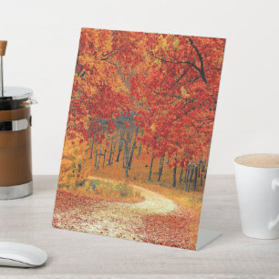 Signe De Table Chemin dans la forêt, automne