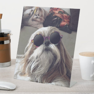 Signe De Table Cool Shih Tzu cheveux longs Lunettes de soleil vin