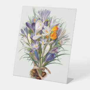 Signe De Table Crocus Spring Flower Floral Art