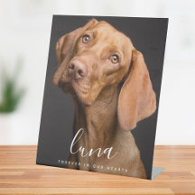 Hommage commémoratif aux animaux de compagnie