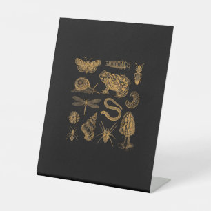 Signe De Table Moth Champignon Grenouille Amoureux Vintage Goblin