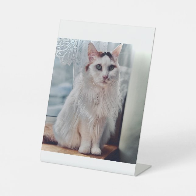 Signe De Table Pédastal de chat (Recto)