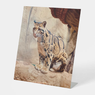 Signe De Table photo de léopard nuageux nature faune exotique