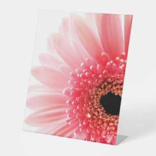 Signe De Table Poster Gerbera Daisy