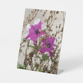 Signe De Table Purple Flowers Photo