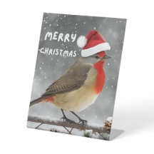 Rendre les esprits brillants