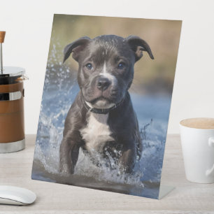 Signe De Table Robuste Puppy S'Éclatant Dans La Mer,