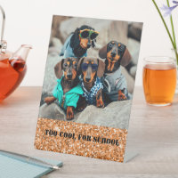 Trop Cool Pour L'École Dachshund Gang