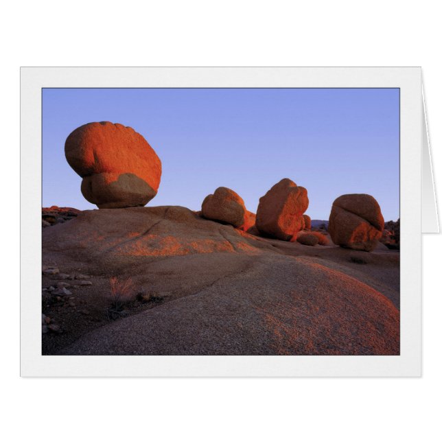 "Signe Des Quatre" (Devant horizontal)