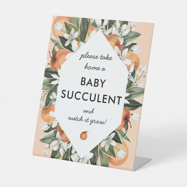 Signe Little Cutie Baby shower Succulent Faveurs (Recto)