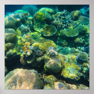 Signed Great Barrier Reef Coral - #2 Poster