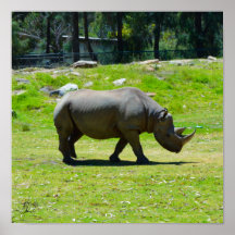 Signed Taronga Western Plains Zoo Dubbo - Rhino