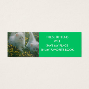 Signet blanc de chatons