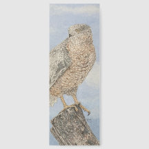 Signet de la Hawk de Cooper