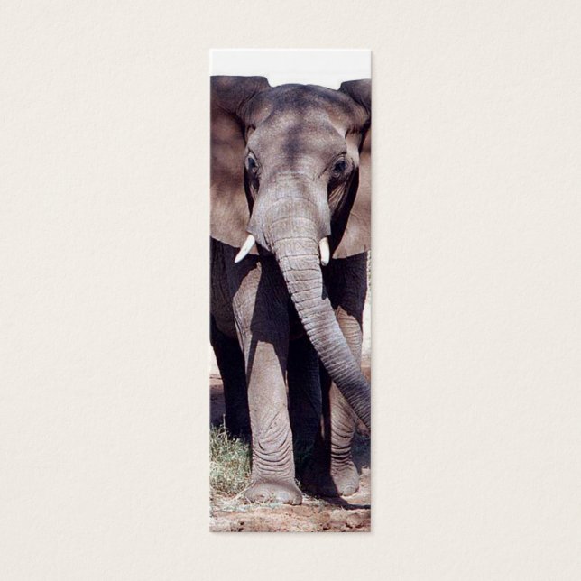 Signet éléphant (Devant)