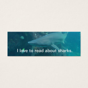 Signet requin