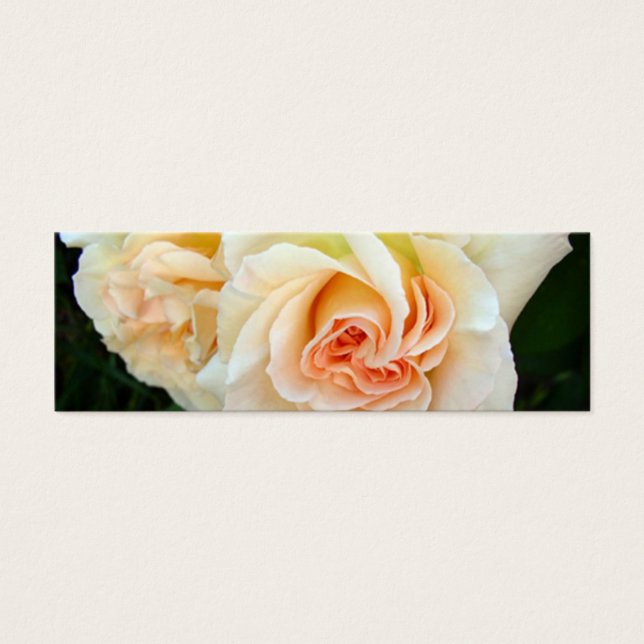 Signet rose de Médallion (Devant)