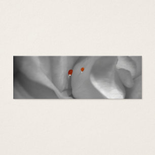 Signets d'aquarelle de l'Éolienne