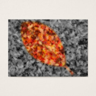 Signets de Bright Shadows