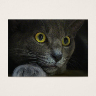 Signets d'intensité