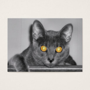 Signets d'or de Dusky