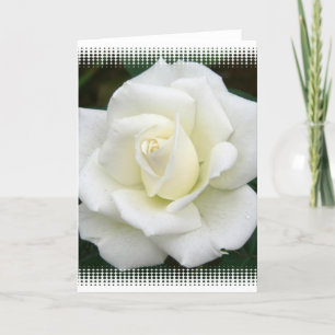 Signification rose Carte de voeux