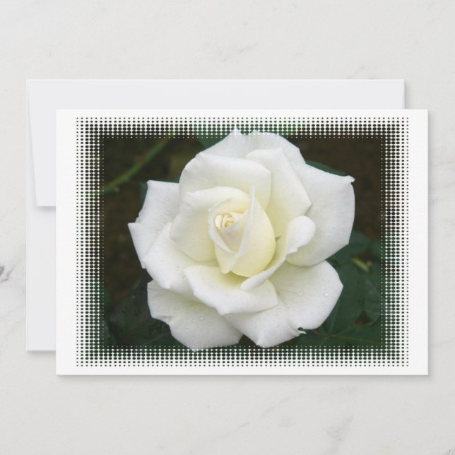 Significations Roses Invitation (Devant)