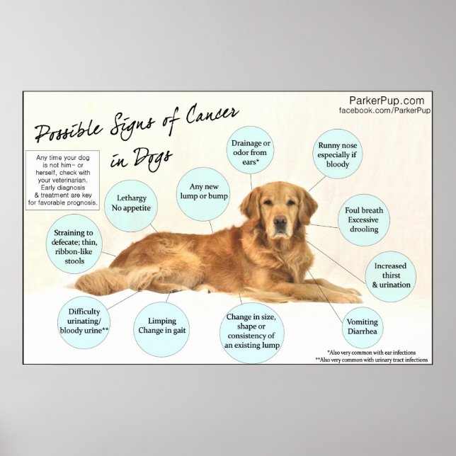 Signs of Cancer Poster (Front)