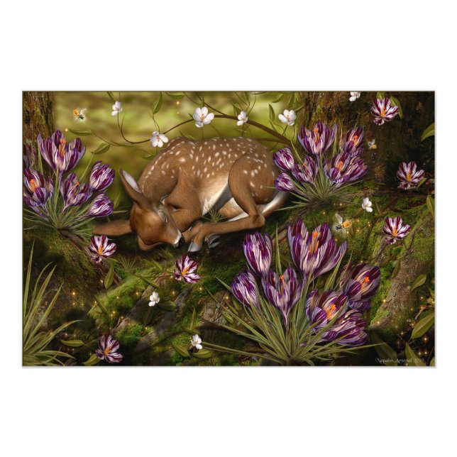 Signs of Spring (Front)