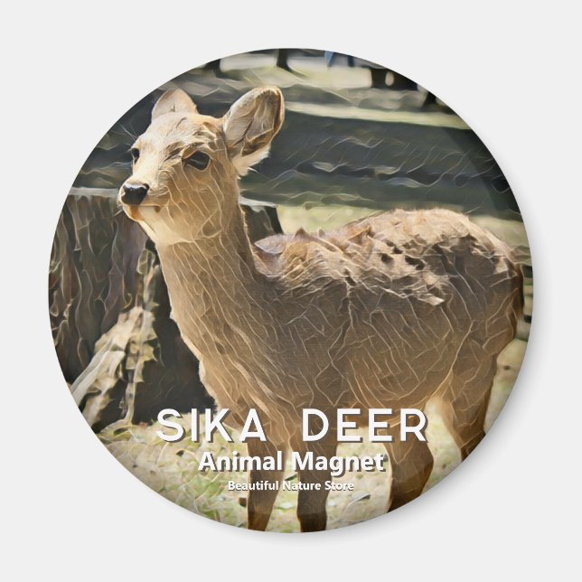 Sika Deer マグネット Magnet (Front)