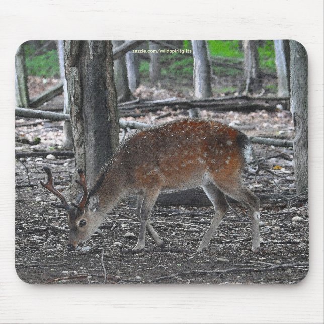 Sika Deer Buck Animal Wildlife Photo Mouse Pad (Front)