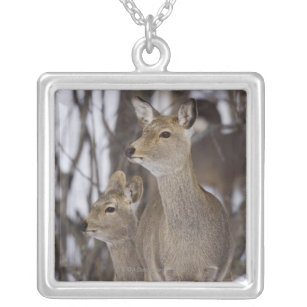 Sika Deer Doe and Young, Hokkaido, Japan Silver Plated Necklace