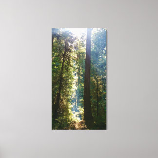 Silence Canvas Print