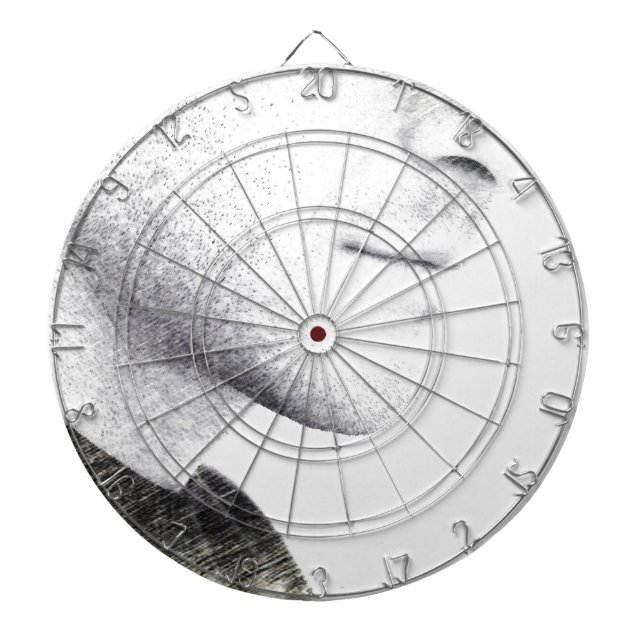 Silence Dartboard (Front)